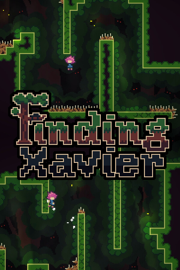 Finding Xavier for steam