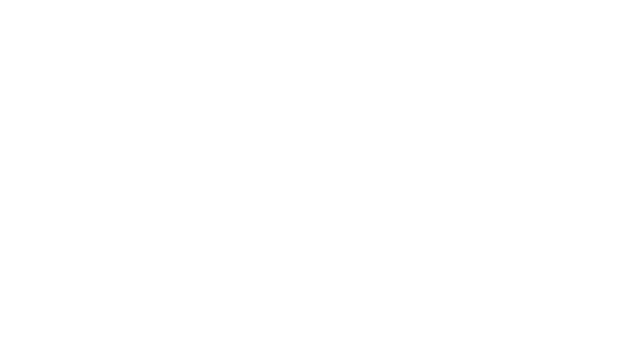 DESPA Logo