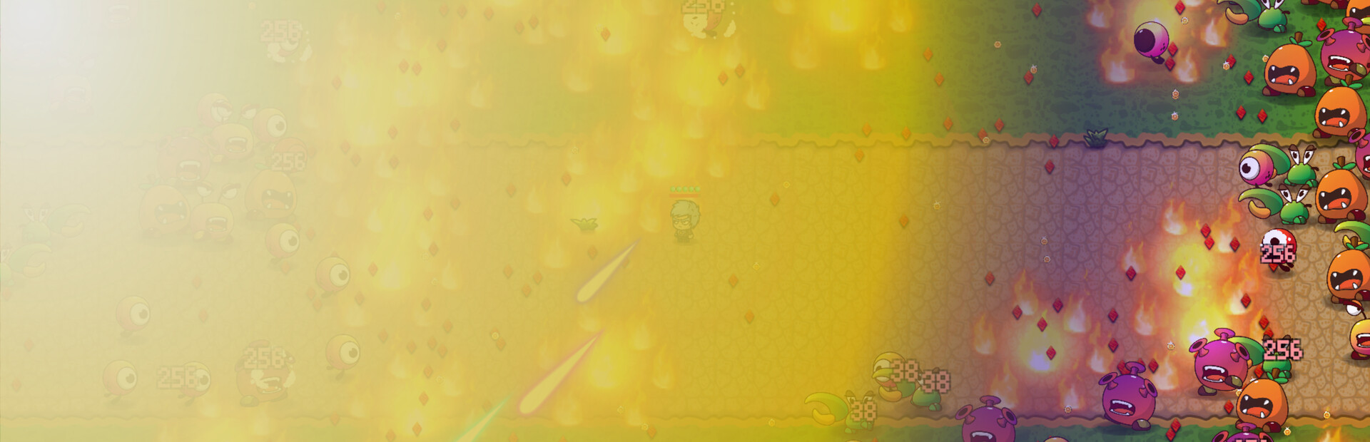 Survivor:Stay In The Light