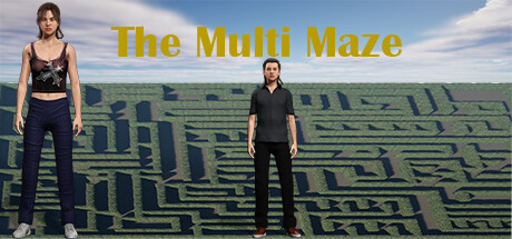 The Multi Maze PC Specs