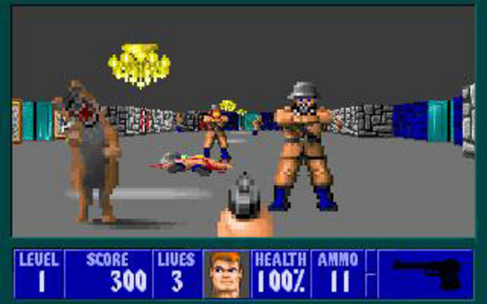 Can i run Wolfenstein 3D