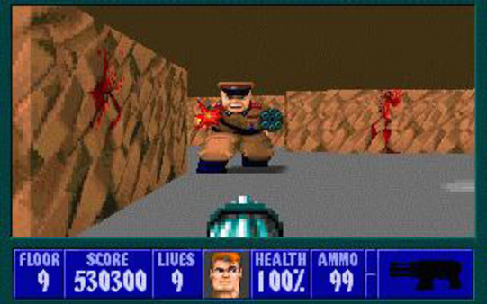 Скриншот из Wolfenstein 3D