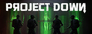 Project Down System Requirements