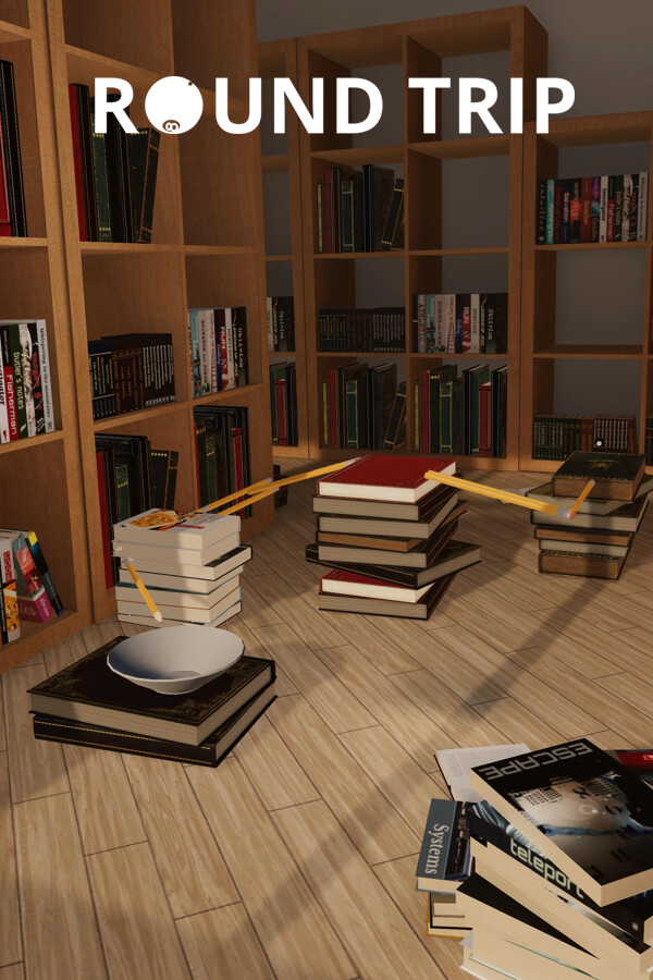 Round Trip for steam