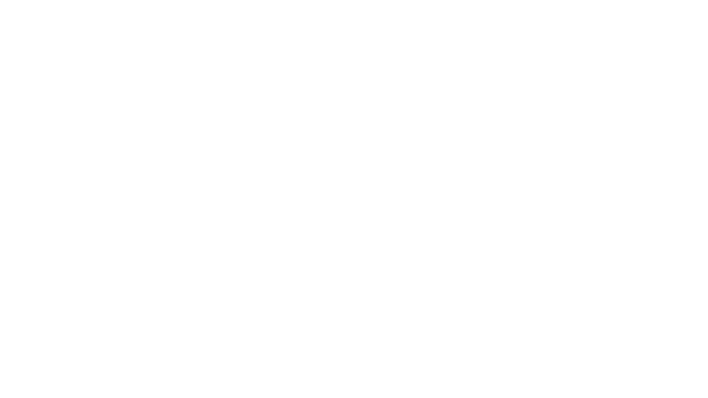 Mini Driver Logo