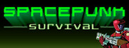 Spacepunk Survival