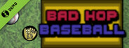 Bad Hop Baseball Demo