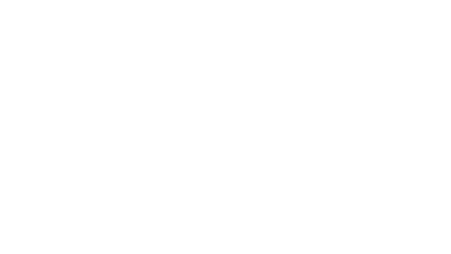 Parcel Problems Logo