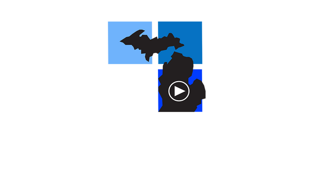 MITTIN Logo