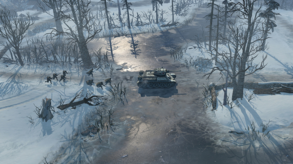 Скриншот из Company of Heroes 2