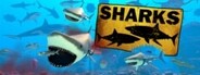 SHARKS Playtest