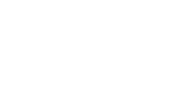 Shape Theory Logo
