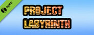 Project Labyrinth Demo