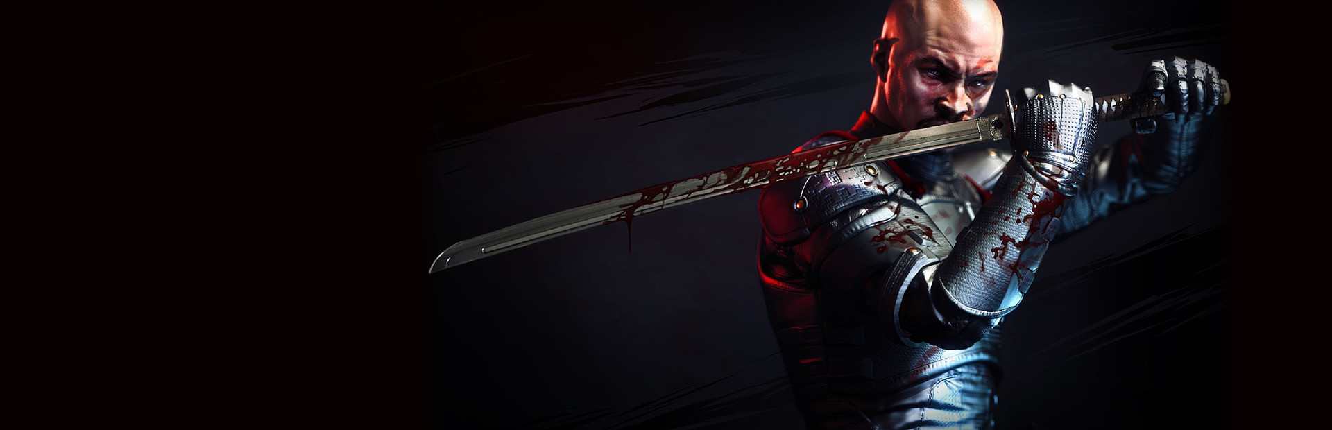 Shadow Warrior Hero Image