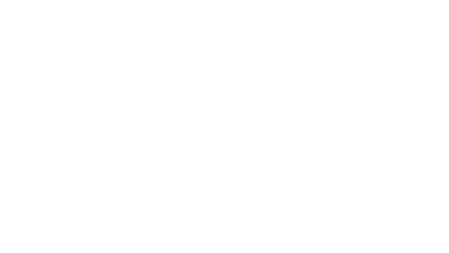 Brutal Bullet Hell RPG Logo