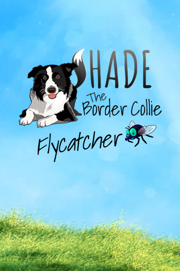 SHADE The Border Collie Flycatcher for steam