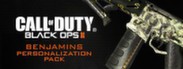 Call of Duty®: Black Ops II - Benjamins MP Personalization Pack
