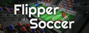 Flipper Soccer System Requirements