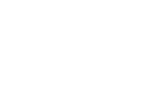 Levity Race Logo