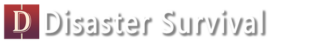 Disaster Survival Logo