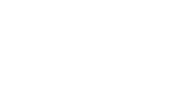 Revenge of the shadow ninja Logo