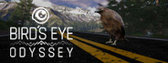 Bird's Eye Odyssey