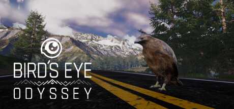 Bird's Eye Odyssey cover art