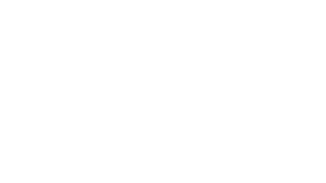 Bird's Eye Odyssey Logo