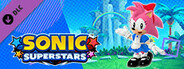 SONIC SUPERSTARS – Retro Diner Style Amy Costume