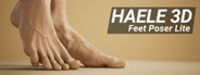 HAELE 3D - Feet Poser Lite System Requirements