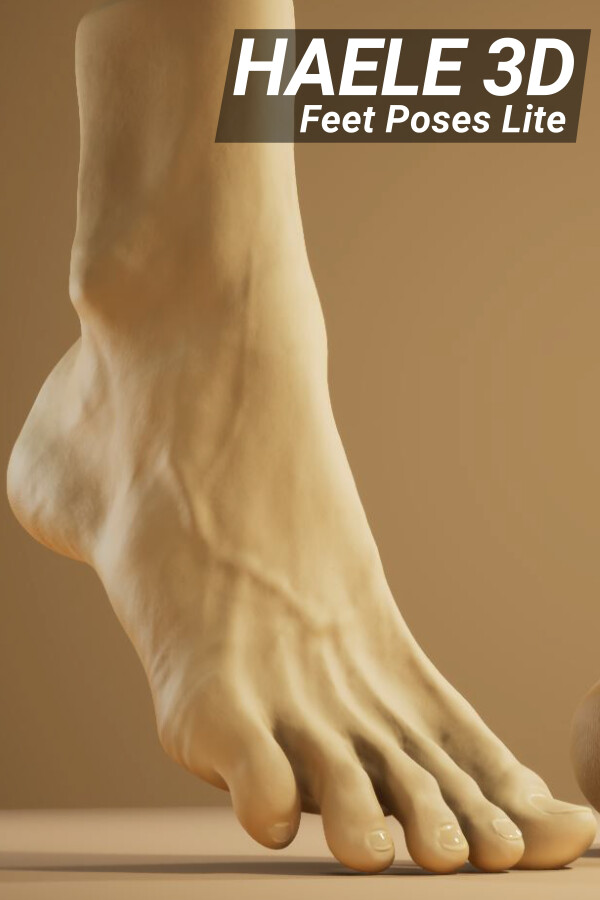 Steam portrait for HAELE 3D - Feet Poses Lite - Drawing References.