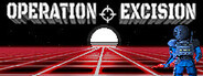 Operation Excision