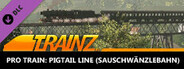 Trainz Plus DLC - Pro Train: Pigtail Line (Sauschwänzlebahn)