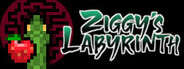 Ziggy's Labyrinth System Requirements