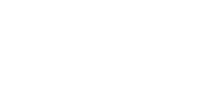 Wandering Skies Logo