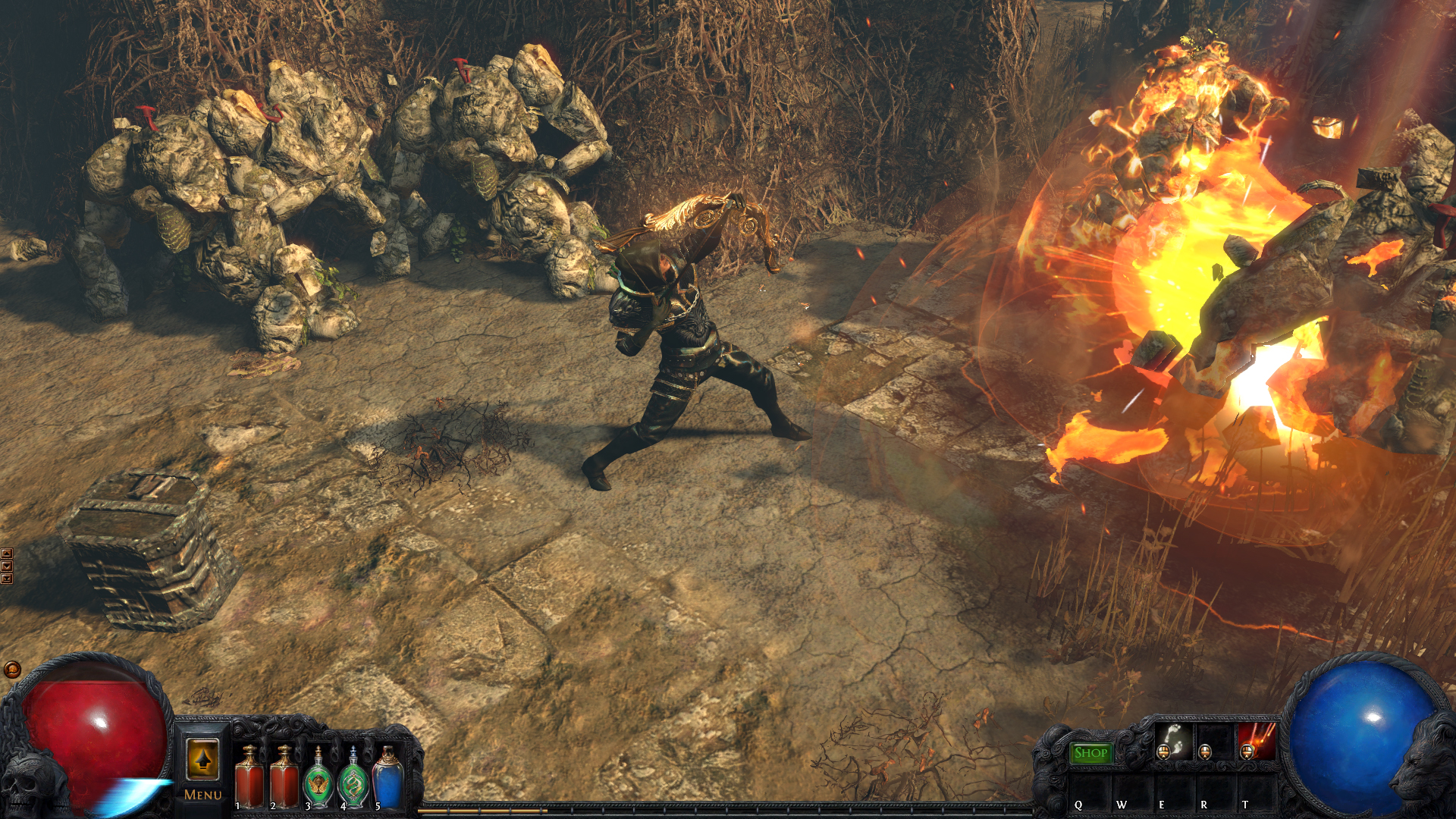 Path of Exile Resimleri 