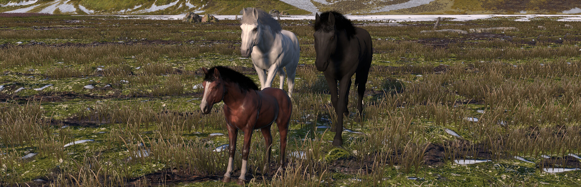 HORSE LIFE: find horses in open world, survive in wild nature as a foal or pony