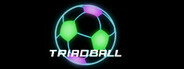 Triad Ball System Requirements