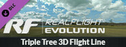 RealFlight Evolution - Triple Tree 3D Flight Line