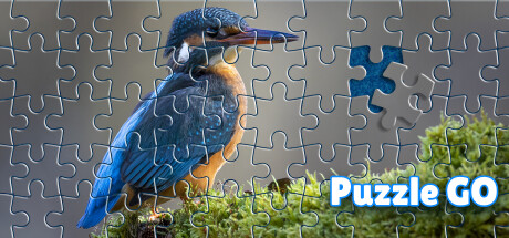 Puzzle Go cover art