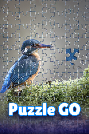 Puzzle Go Puzzle Go