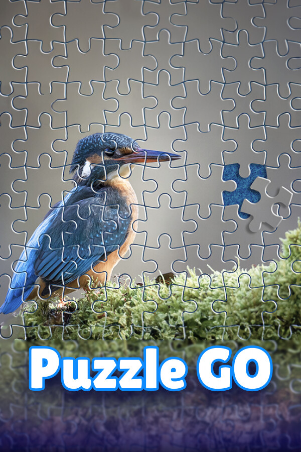 Puzzle Go for steam Puzzle Go for steam
