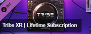 Tribe XR - Tribe Lifetime Subscription