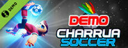 Charrua Soccer Demo