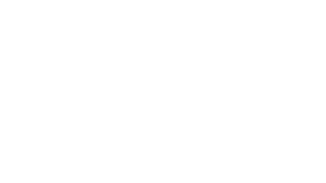 Neva Logo