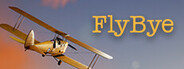 FlyBye System Requirements
