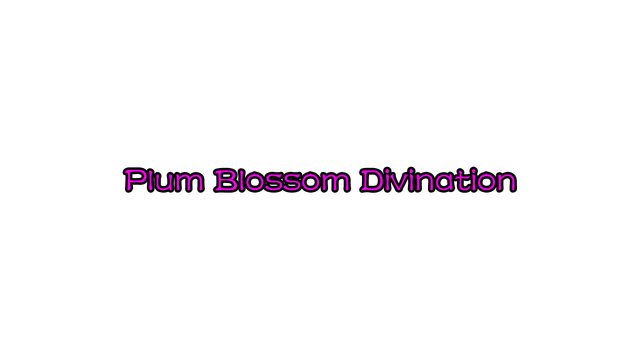 Plum Blossom Divination Logo