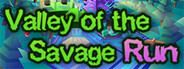 Valley of The Savage Run