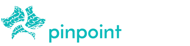 Pinpoint Logo