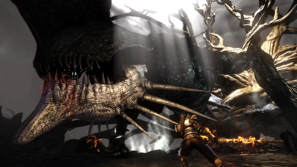 Bound By Flame game for Linux 1